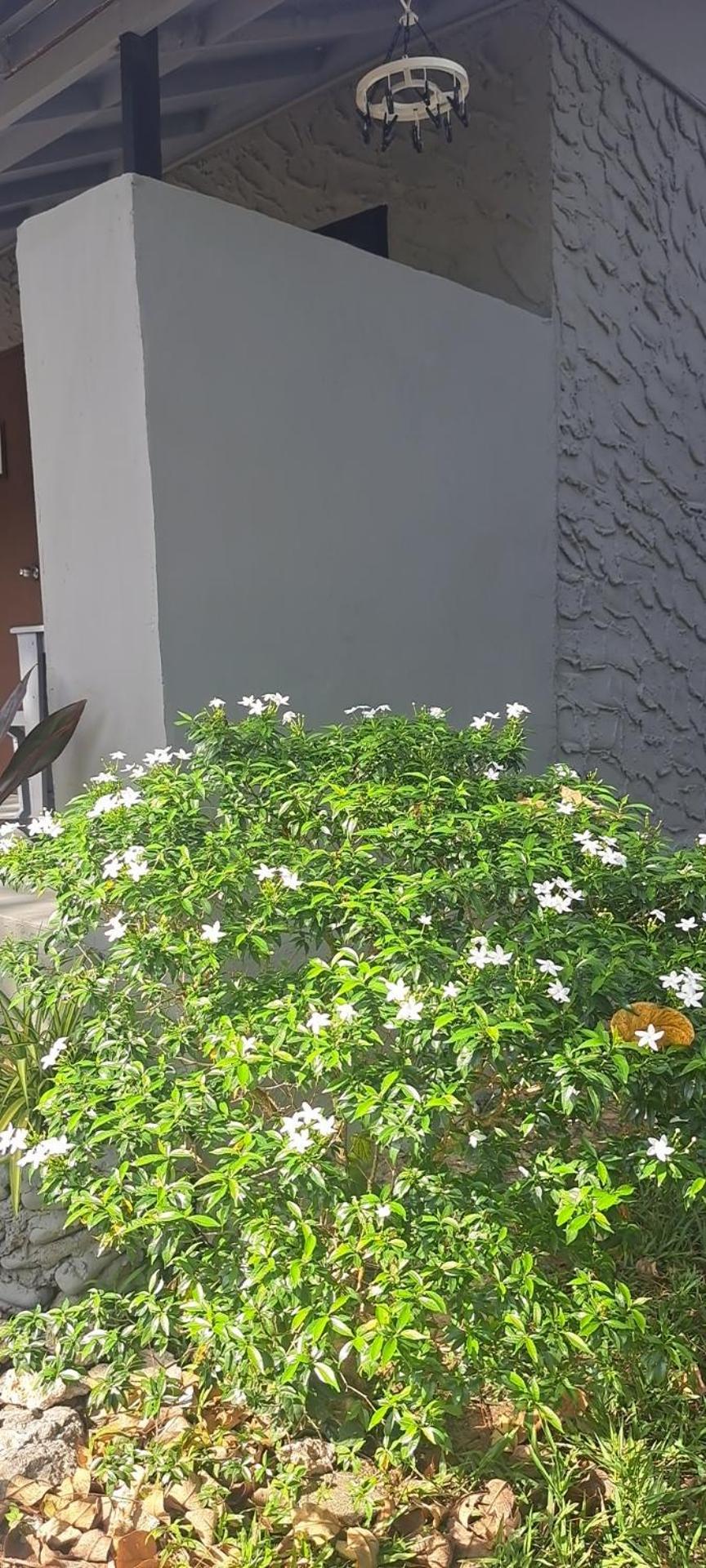 Siam Flora Resort Koh Lanta Luaran gambar
